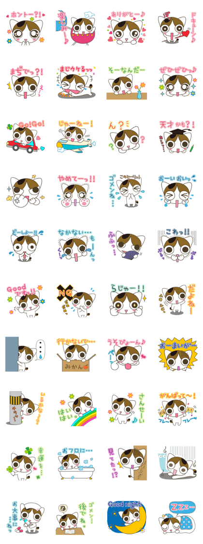 Cat rabi edition