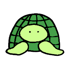 Daily turtle