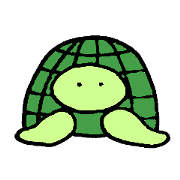 Daily turtle