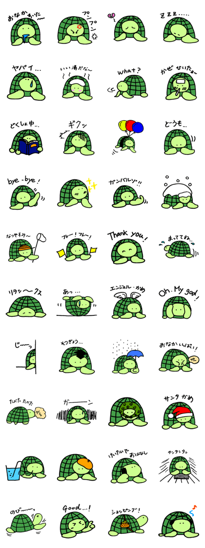 Daily turtle
