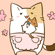 cat mamma