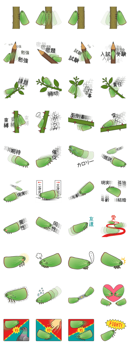 Green flatid planthopper