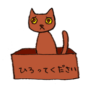 anomalous cat KUMAAAAAN