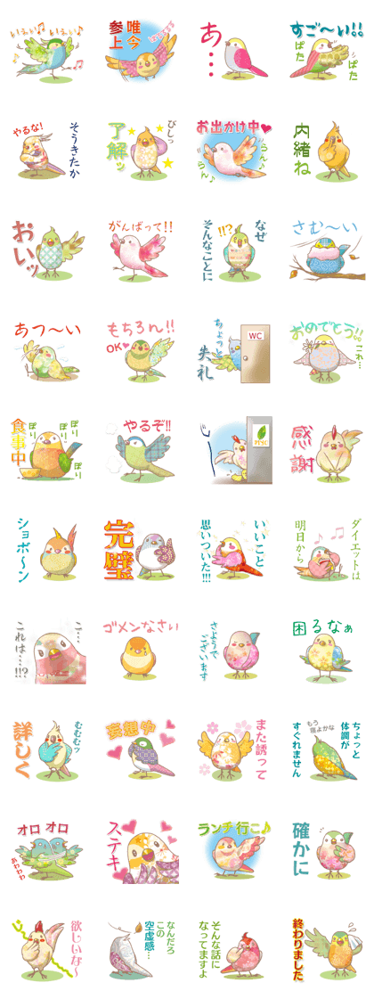 colorful cute birds