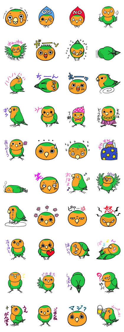 Picotan the lovebird