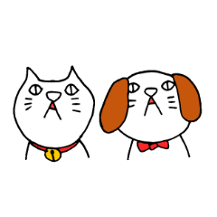 cat&dog