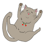mocomoco REO