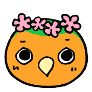 Picotan the lovebird - in English