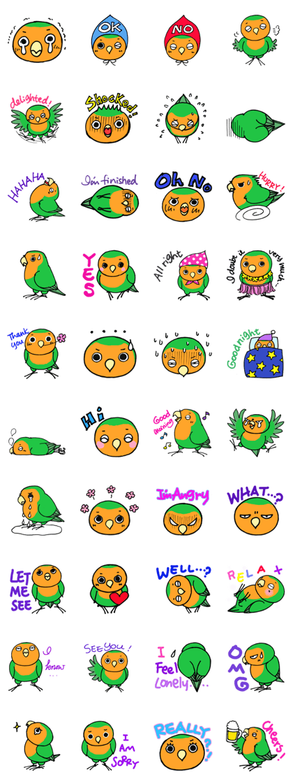 Picotan the lovebird - in English