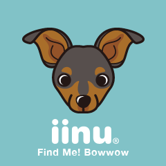 iinu - Miniature Pinscher