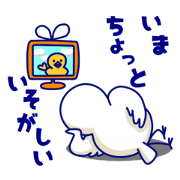 pyocchoko!!