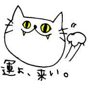 The name of the white cat ichi