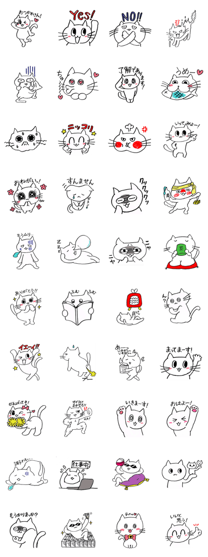 Hello! Let's go the CAT