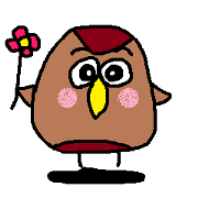 otedama owl