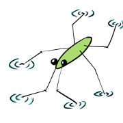 insect!!!