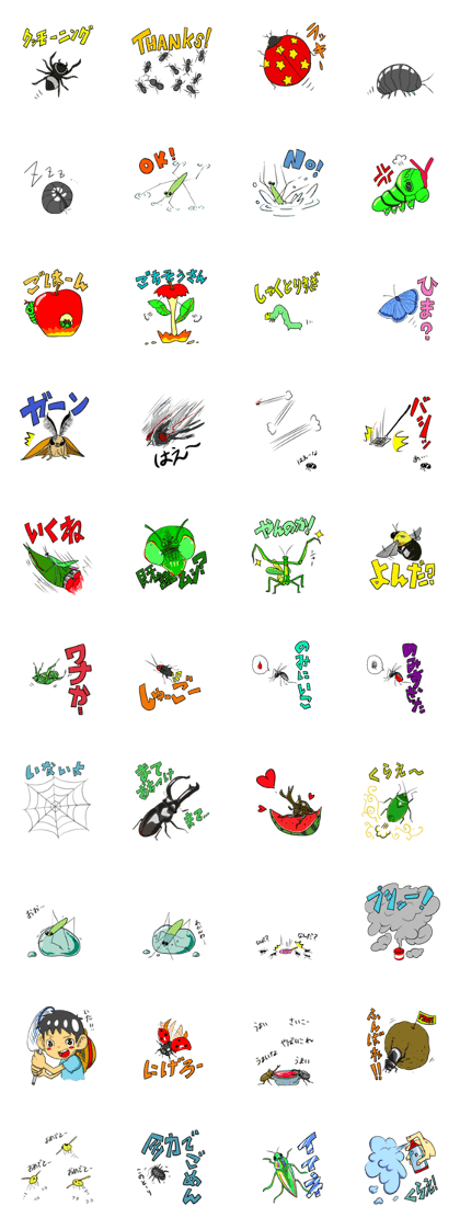 insect!!!
