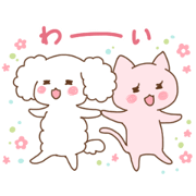 Cute animals "Mocopopo" & "Rose"