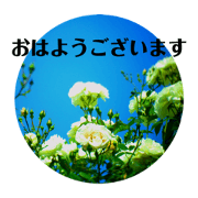 maiya_20200308053305