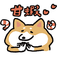 shiba inu daily 3ya