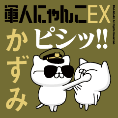 "KAZUMI"name/Movie Military cat