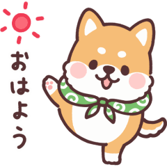 fluffy fat Shiba anime