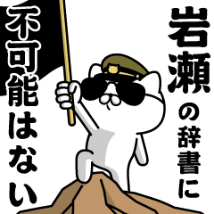 "IWASE"name/Military cat