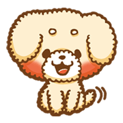 Short eyebrows poodle "pu-maro"