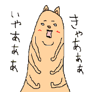 namabuta2