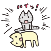 Something strange cats