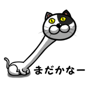 Stray cat "Bob"