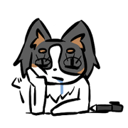 Papillon chiyo