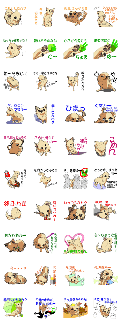 Chihuahua speaks for you. Japanese Ver-1