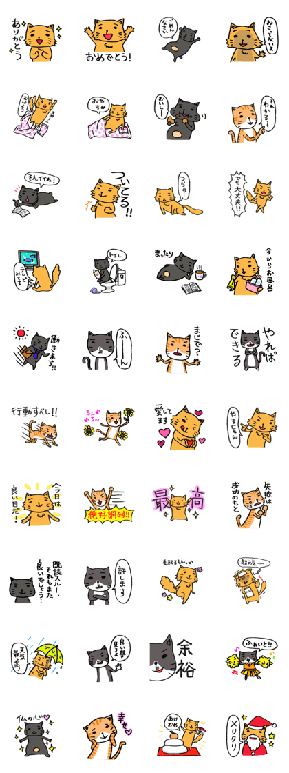 Positive cat flom my house