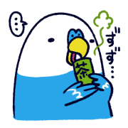 Parakeet INCOCO 2