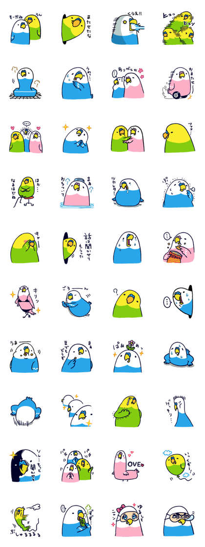Parakeet INCOCO 2