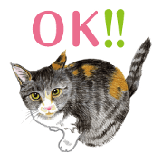 Fine kitten