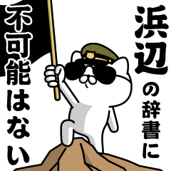 "HAMABE"name/Military cat