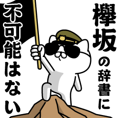 "KEYAKIZAKA"name/Military cat