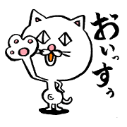 Cat big face!