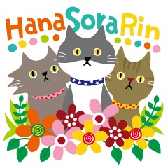 Cat brother and sisters Sora, Hana, Rin