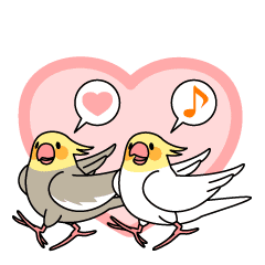 オカメインコ おかめいんこちゃん Line スタンプ Line Store オカメインコ おかめいんこちゃん Line スタンプ Line Store