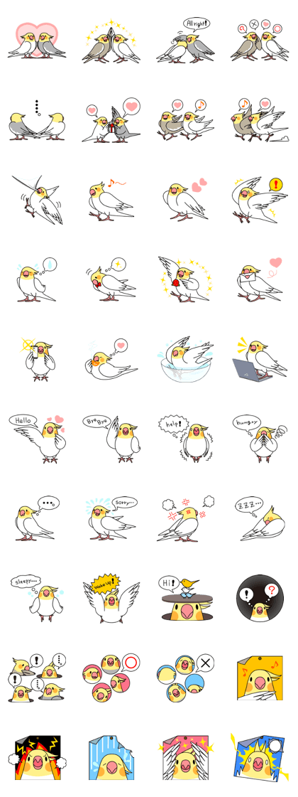 Cockatiel "Okameinko-chan"