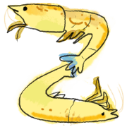 The Shrimp2