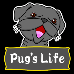 Black Pug's Life
