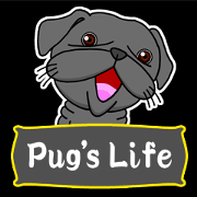 Black Pug's Life
