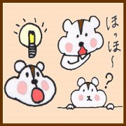 Pretty Playful HAMSTER