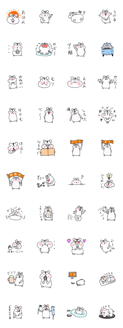 Pretty Playful HAMSTER