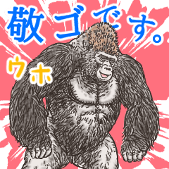 Honorific of Gorilla gorilla gorilla 4