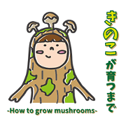 How to grow mushrooms