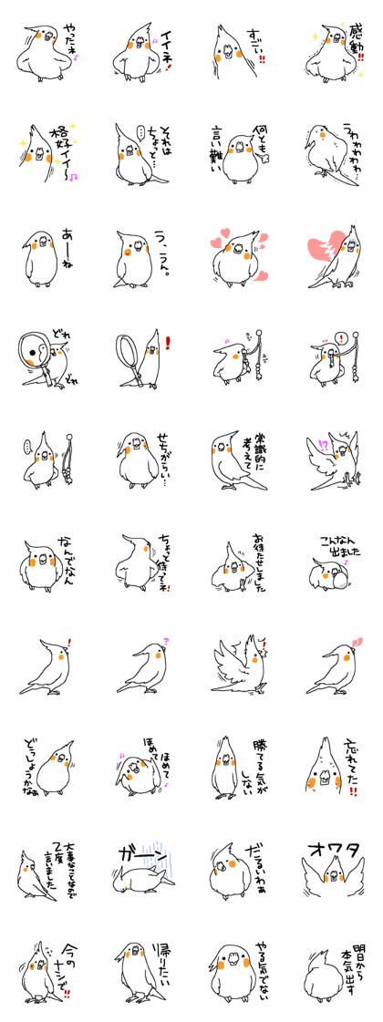 MARU the Cockatiel 2